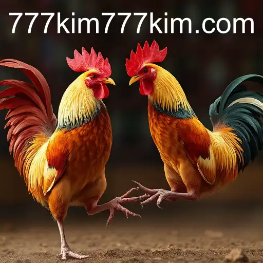 Security and Trust 777kim PH Login - International Licenses and Certifications